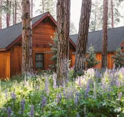 FivePine Lodge & Spa hotel detail image 5