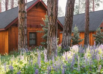 FivePine Lodge & Spa hotel thumbnail 5