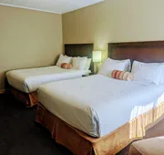 Alpine Inn & Suites hotel detail image 5