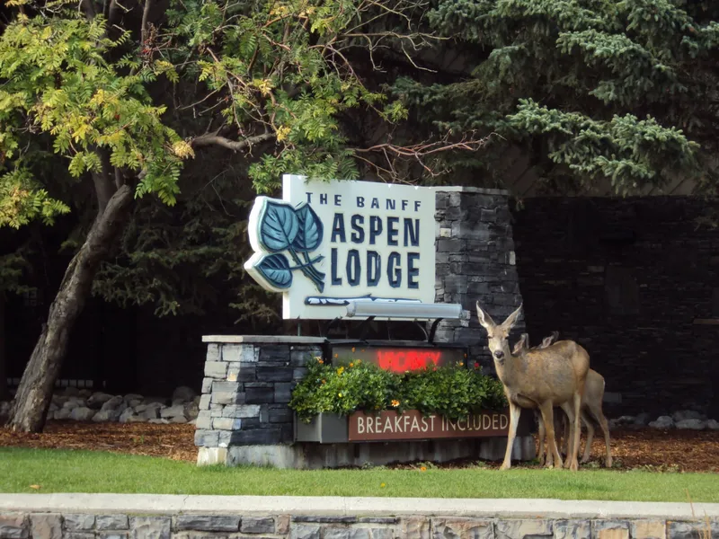 Banff Aspen Lodge hotel detail image 2