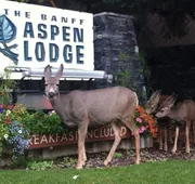 Banff Aspen Lodge hotel detail image 4