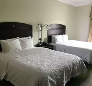 Hampton Inn Vidalia hotel detail image 4