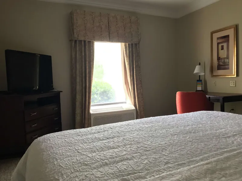 Hampton Inn Vidalia hotel detail image 6