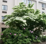 Hampton Inn Downingtown/Exton hotel detail image 4