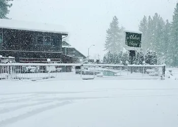 Alder Inn hotel thumbnail 2
