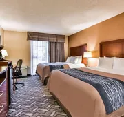 Comfort Inn & Suites Ambassador Bridge hotel detail image 4