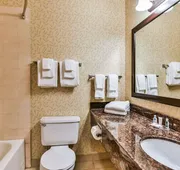 Comfort Inn & Suites Ambassador Bridge hotel detail image 5