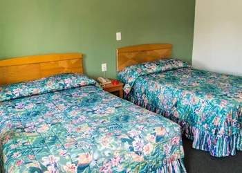 Bay Drive Motel hotel thumbnail 2