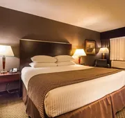 Best Western Airport Inn hotel detail image 5