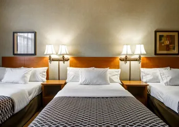 Canalta Hotel Provost hotel thumbnail 6