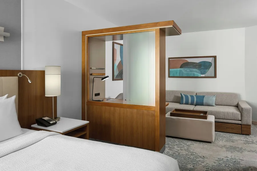 SpringHill Suites Lumberton hotel detail image 6