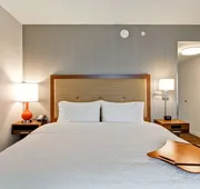 Hampton Inn & Suites Detroit/Troy hotel detail image 5