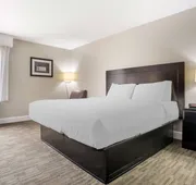 Best Western Bayou Inn hotel detail image 5