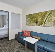 SpringHill Suites by Marriott Chicago Schaumburg/Woodfield hotel detail image 3