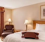 Hampton Inn & Suites Addison hotel detail image 7