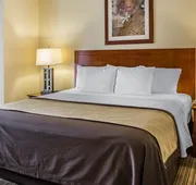 Comfort Inn Cockatoo near LAX Airport hotel detail image 4