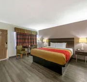 Fort Lauderdale Gardens Inn & Suites hotel detail image 7