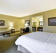 Hampton Inn & Suites North Charleston-University Blvd hotel detail image 7