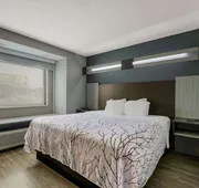 SureStay Plus Hotel by Best Western Sevierville hotel detail image 7