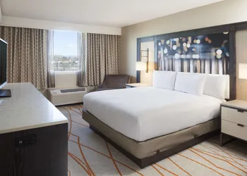 DoubleTree by Hilton Denver Central Park hotel thumbnail 3