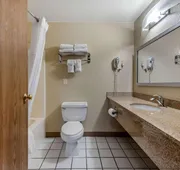 Comfort Inn Denver Southeast Area hotel detail image 3