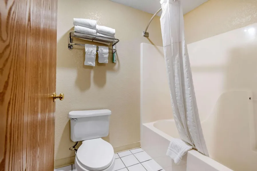Comfort Inn Denver Southeast Area hotel detail image 6