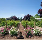 Carneros Resort and Spa hotel detail image 4