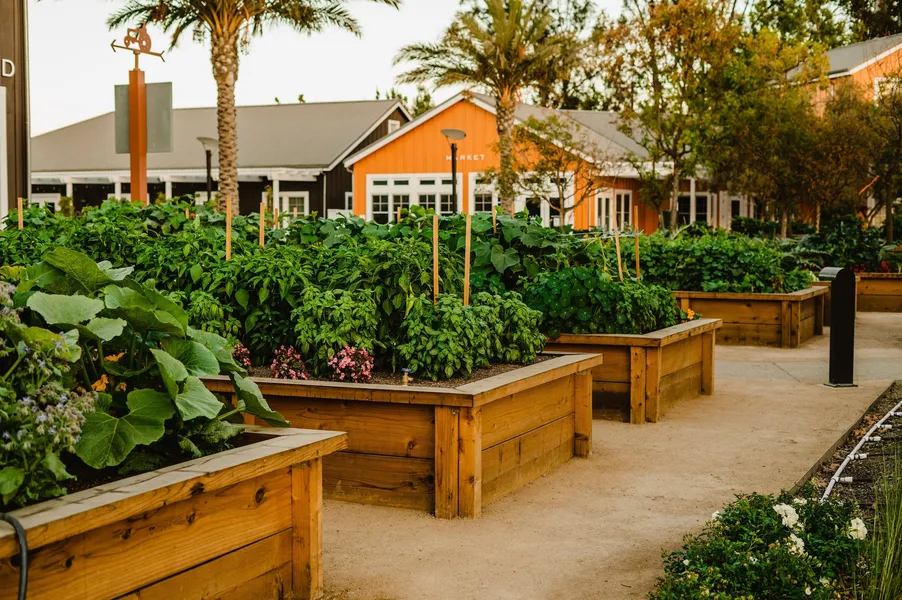 Carneros Resort and Spa hotel detail image 6