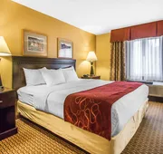 Comfort Suites Wisconsin Dells Area hotel detail image 5