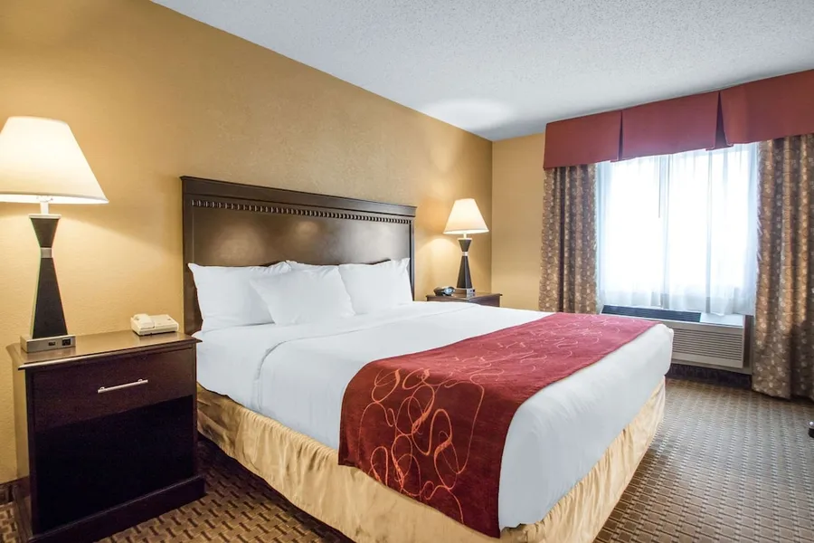Comfort Suites Wisconsin Dells Area hotel detail image 6