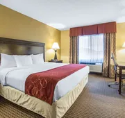 Comfort Suites Wisconsin Dells Area hotel detail image 7