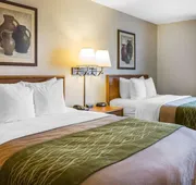 Quality Inn hotel detail image 3