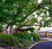 Appellation Lodi - Wine & Roses Resort & Spa hotel detail image 7