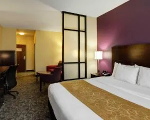 Comfort Suites Little Rock West hotel detail image 6