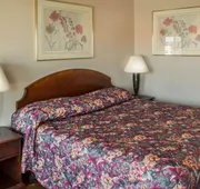 Rodeway Inn & Suites hotel detail image 4