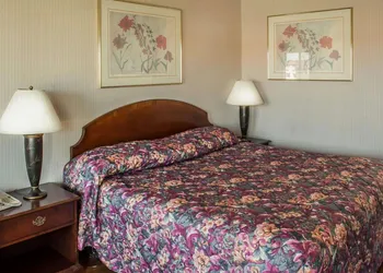 Rodeway Inn & Suites hotel thumbnail 4
