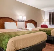 Econo Lodge Holland - Toledo hotel detail image 5