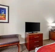 Comfort Suites Smyrna - Nashville Area hotel detail image 5