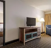 Wyndham Springfield City Centre hotel detail image 7