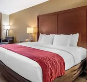Comfort Inn Great Falls South hotel detail image 7