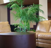 Ramada by Wyndham Midtown Grand Island hotel detail image 7