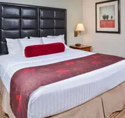 Best Western Plus Rama Inn hotel detail image 3
