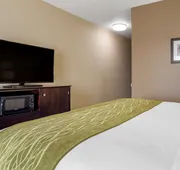 Comfort Inn & Suites Scott-West Lafayette hotel detail image 5