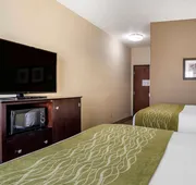 Comfort Inn & Suites Scott-West Lafayette hotel detail image 7
