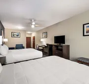 Best Western Plus Lake Dallas Inn & Suites hotel detail image 5