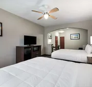 Best Western Plus Lake Dallas Inn & Suites hotel detail image 7