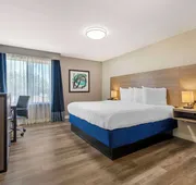 Best Western Plus Lewisville Flower Mound hotel detail image 7