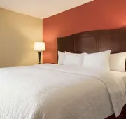 Hampton Inn Battle Creek hotel detail image 4