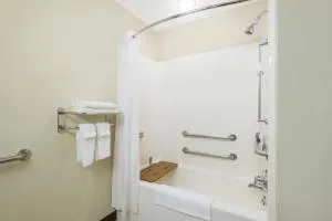 Microtel Inn & Suites by Wyndham Seneca Falls hotel detail image 6