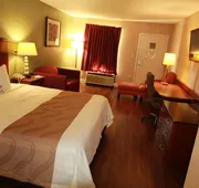 Quality Inn & Suites near Robins Air Force Base hotel detail image 7